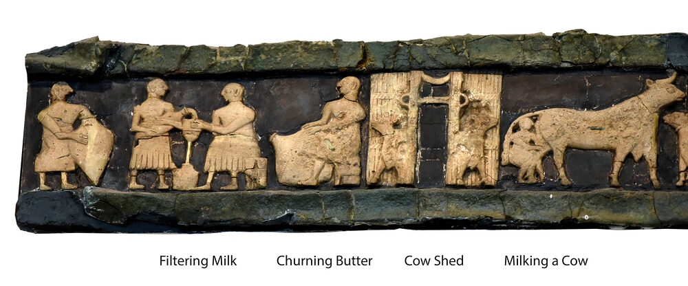Relief depicting dairy industry comes from the Temple of Ninhursag in ancient Eridu