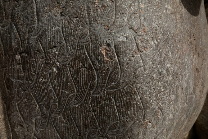 Lion Gate Hattusa Lion Fur