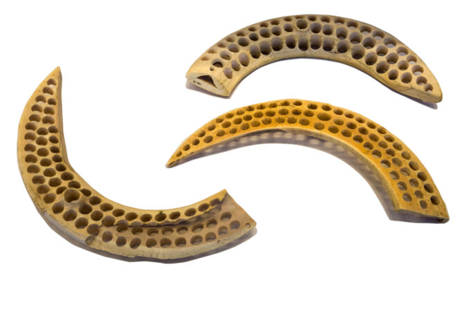 Elephant Ivory Standard from Nahal Mishmar
