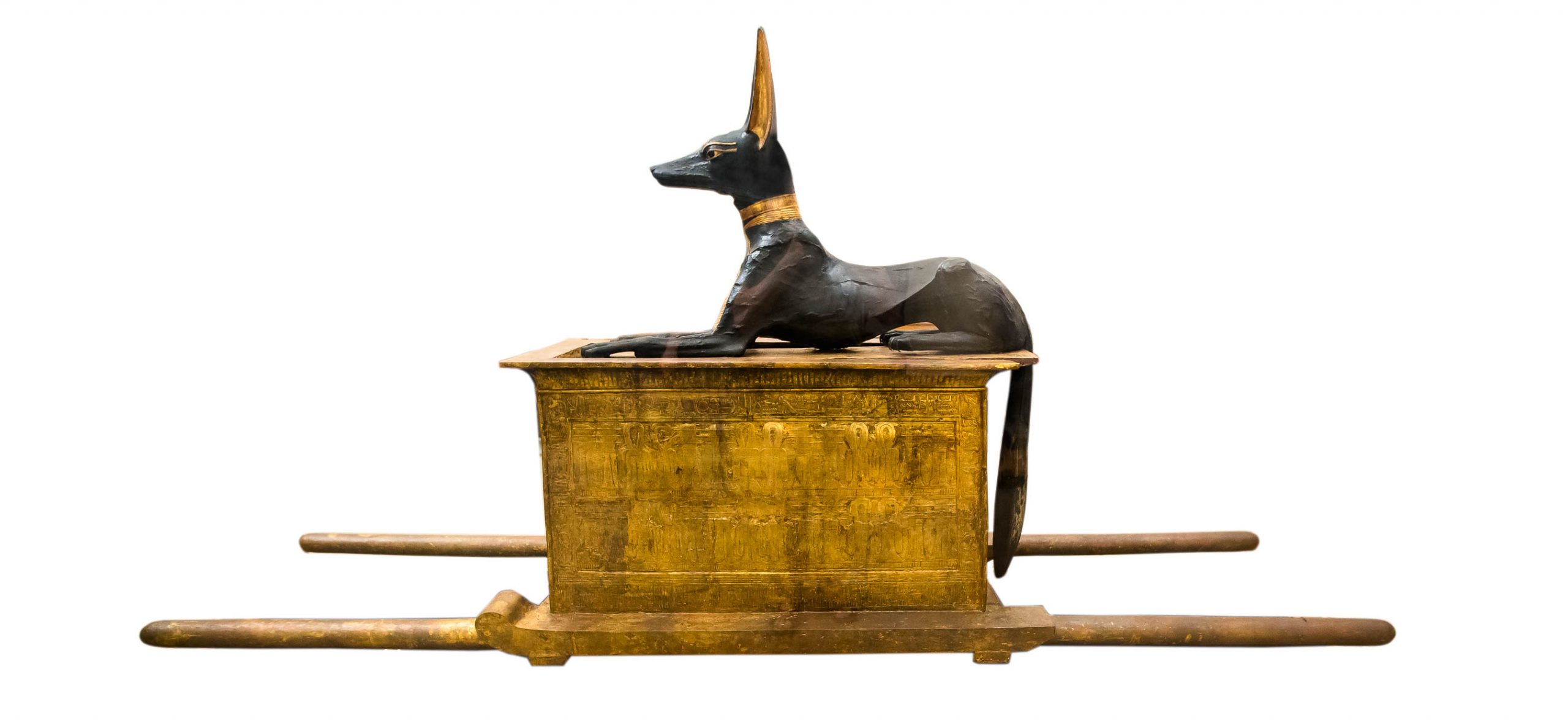 Bark of Anubis