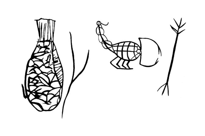 Fish and scorpion inscribed on the sides of "wavy-handled jars" with plant symbol