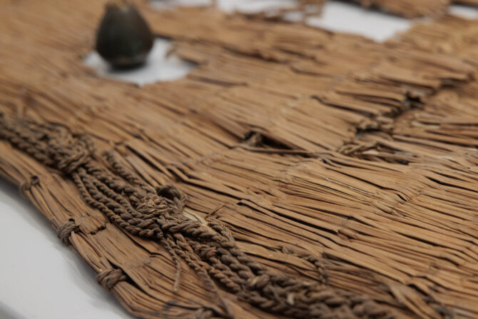 Woven Basket from Nahal Mishmar