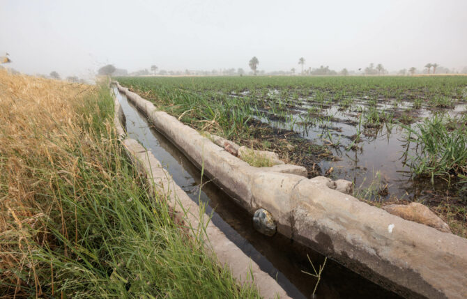 Irrigation Canal in Egypt