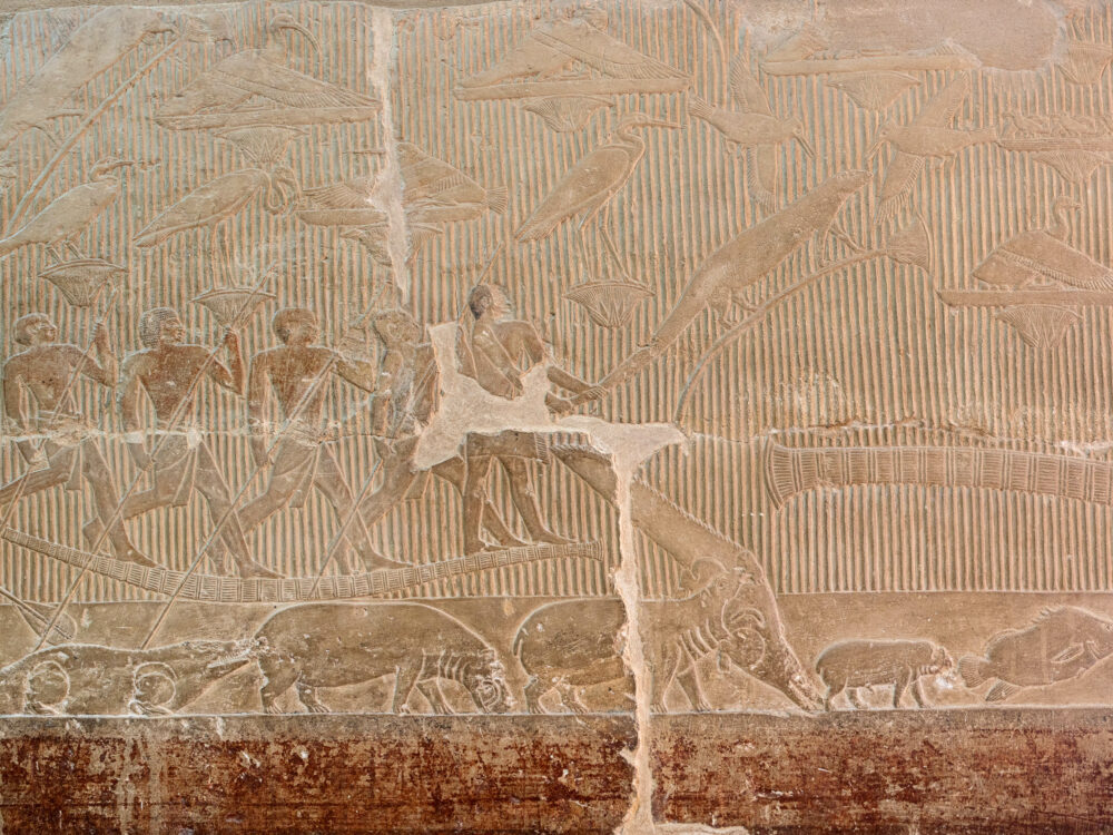 Hippo attacking crocodile on tomb relief in Mastaba of Mereruka