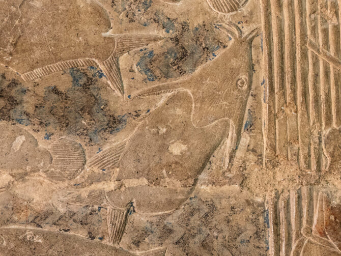 Upside Down Catfish in Mastaba of Mereruka