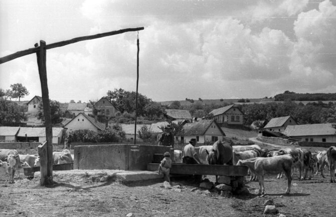 Shadouf at a well in Europe